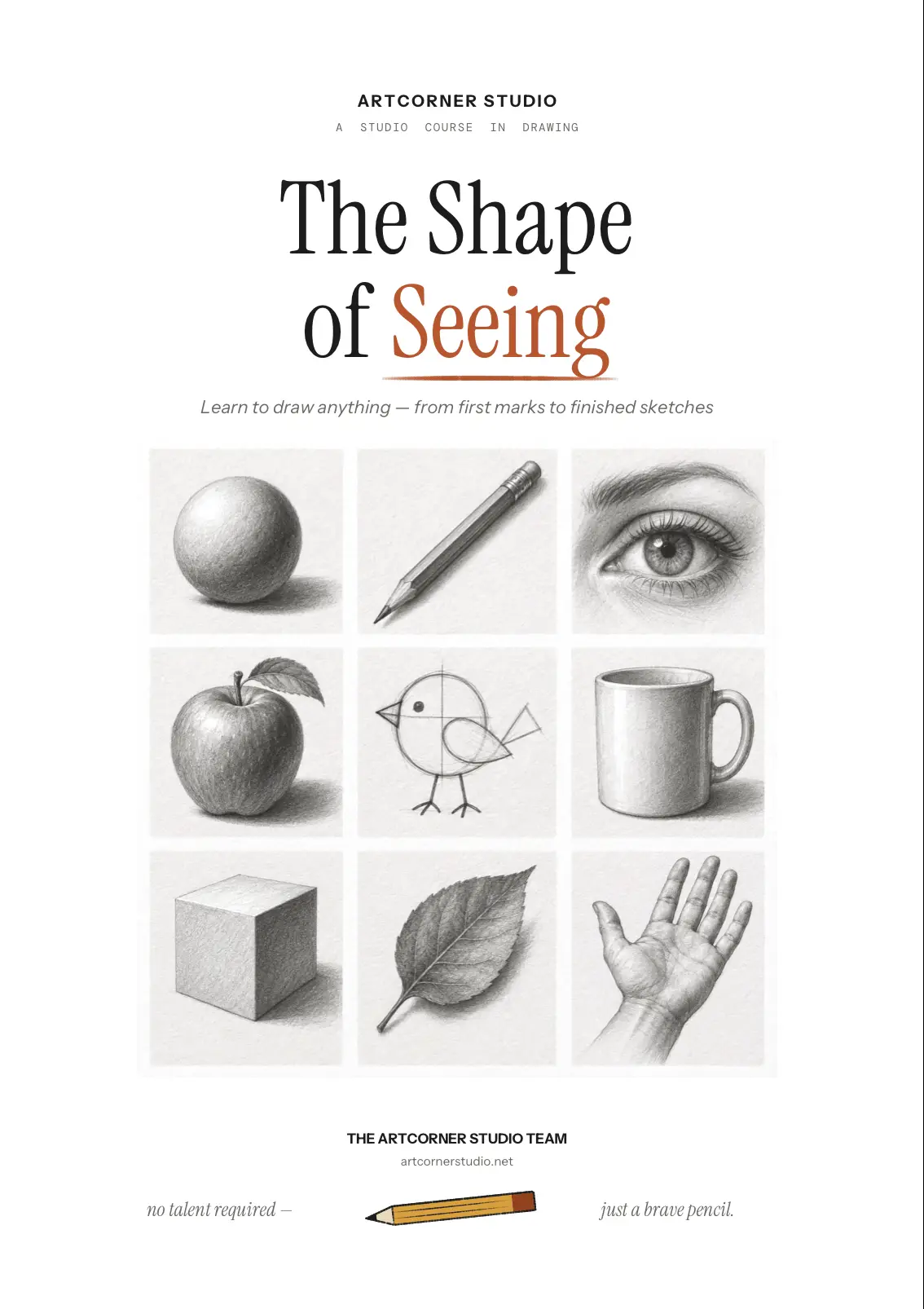 The Shape of Seeing cover